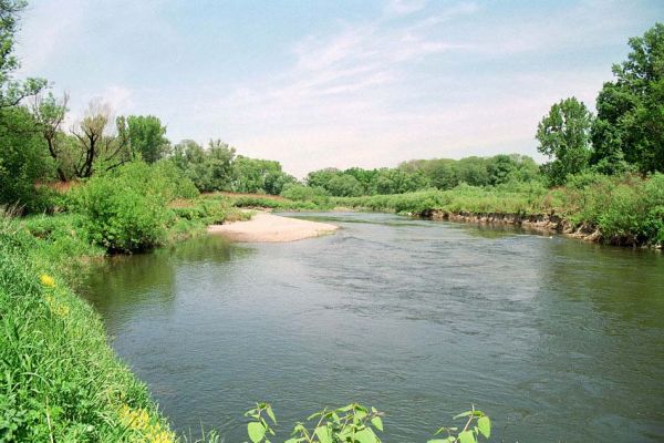 Starý Bohumín, Odra, 22.5.2005
Štěrkový náplav Odry u protrženého meandru.
Klíčová slova: Starý Bohumín řeka Odra Negastrius pulchellus sabulicola Zorochros dermestoides meridionalis