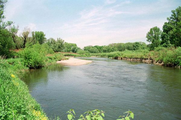 Starý Bohumín, Odra, 22.5.2005
Štěrkový náplav Odry u protrženého meandru.
Schlüsselwörter: Starý Bohumín řeka Odra Negastrius pulchellus sabulicola Zorochros dermestoides meridionalis