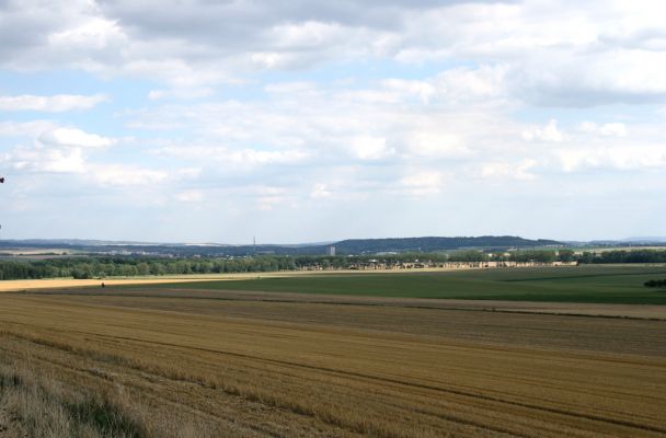 Bohuslavice - Králíčkův kopec, 5.8.2008
Pohled z Králíčkova kopce na Dobrušku.
Klíčová slova: Bohuslavice Králíčkův kopec Dobruška