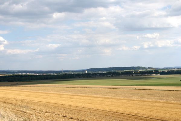 Bohuslavice - Králíčkův kopec, 5.8.2008
Pohled z Králíčkova kopce na východ na město Dobruška.
Keywords: Bohuslavice Králíčkův kopec Dobruška