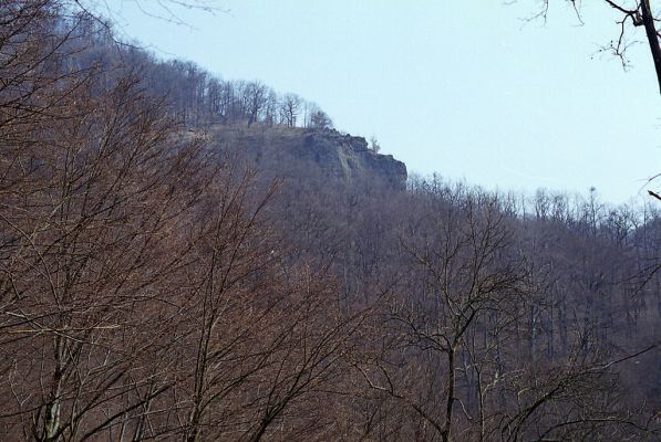 Budča, 28.3.2003
Boky - suťový les.



Klíčová slova: Budča Boky