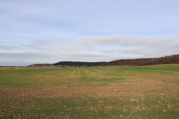 Vysoká nad Labem, 23.11.2021
Pohled na Vysokou nad Labem od jihu.
Klíčová slova: Vysoká nad Labem