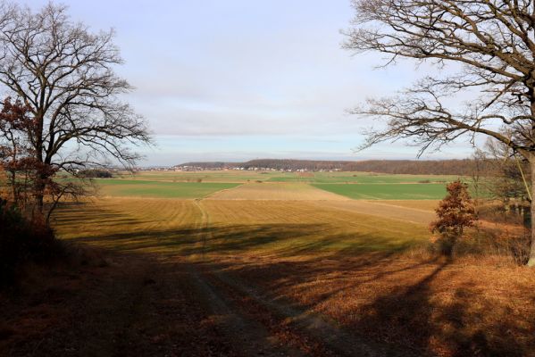 Borek, 23.11.2021
Pohled na Vysokou nad Labem od Borkovského kopce.
Klíčová slova: Borek Borkovský kopec Vysoká nad Labem