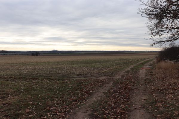 Borek, 23.11.2021
Pohled na Kunětickou horu od Borkovského kopce.
Schlüsselwörter: Borek Borkovský kopec Kunětická hora