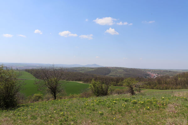 Bořetice, 22.4.2023
Zázmoníky. Pohled na Pavlovské vrchy.
Keywords: Bořetice Zázmoníky vrch Horní ochozy