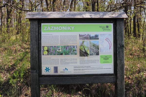 Bořetice, 22.4.2023
Zázmoníky.
Schlüsselwörter: Bořetice Zázmoníky vrch Horní ochozy