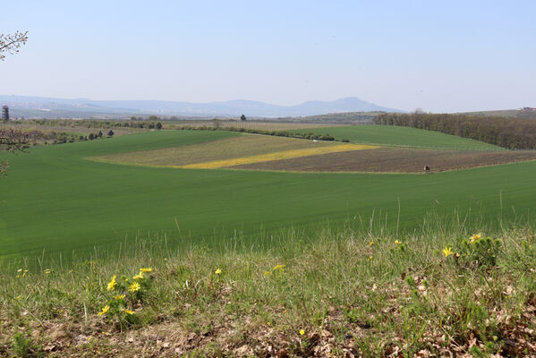 Bořetice, 22.4.2023
Zázmoníky. Pohled na Pavlovské vrchy.
Schlüsselwörter: Bořetice Zázmoníky vrch Horní ochozy