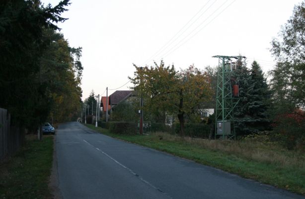 Hradec Králové-Borovinka, 23.10.2008
Třešeň v Borovince. Biotop krasce Anthaxia candens.
Schlüsselwörter: Hradec Králové Borovinka Anthaxia candens