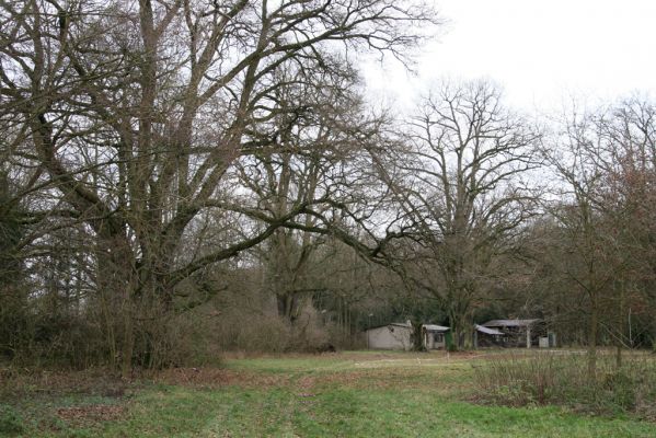 Bošín, 1.12.2015
Bošínská obora.



Klíčová slova: Bošín Bošínská obora
