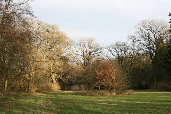 Bošín, 1.12.2015
Bošínská obora.


Klíčová slova: Bošín Bošínská obora