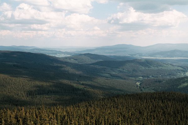 Šumava, Boubín, 13.6.2006
Pohled z rozhledny na jih.




Klíčová slova: Šumava Boubín