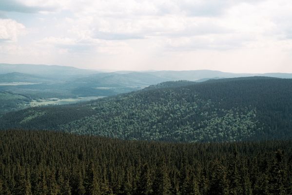 Šumava, Boubín, 13.6.2006
Pohled z rozhledny na Boubínský prales.


Keywords: Šumava Boubín Boubínský prales