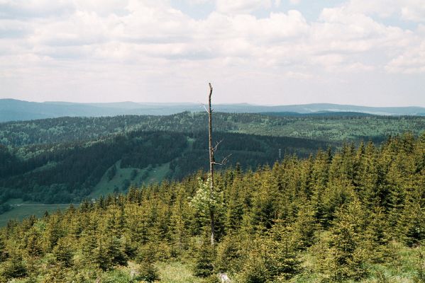 Šumava, Boubín, 13.6.2006
Basumský hřeben - pohled na západ na Ostroh.
Klíčová slova: Šumava Boubín Basumský hřeben