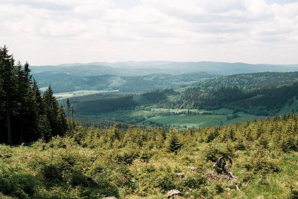 Šumava, Boubín, 13.6.2006
Basumský hřeben - pohled na jihozápad. Smrkové pařezy na holoseči jsou osídleny kovaříky Diacanthous undulatus.



Schlüsselwörter: Šumava Boubín Basumský hřeben Diacanthous undulatus