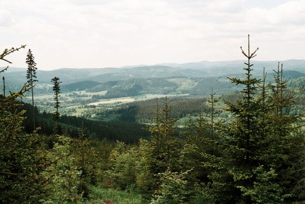 Šumava, Boubín, 13.6.2006
Basumský hřeben - pohled na jihozápad na údolí Teplé Vltavy.


Mots-clés: Šumava Boubín Basumský hřeben