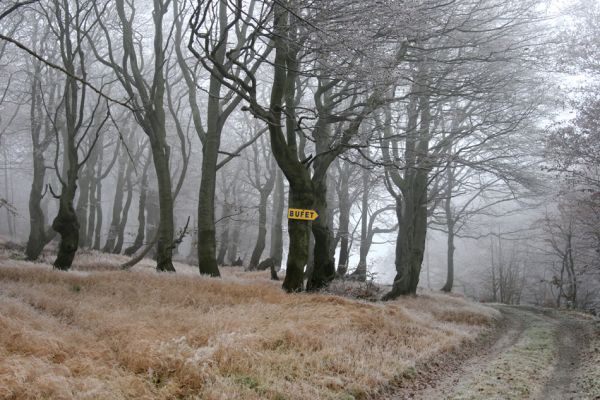 Nové Město u Mikulova, vrch Bouřňák, 11.11.2011
Buky na Bouřňáku.
Klíčová slova: Krušné hory Moldava Nové Město u Mikulova Bouřňák Buky na Bouřňáku