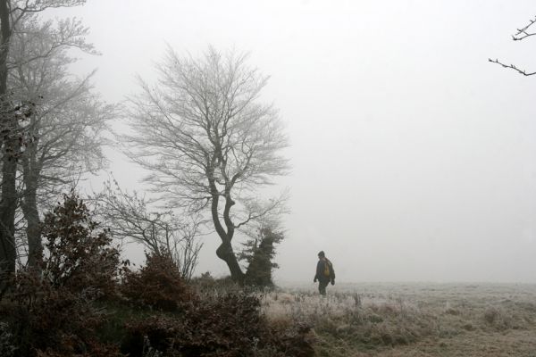 Nové Město u Mikulova, vrch Bouřňák, 11.11.2011
Buky na Bouřňáku.
Klíčová slova: Krušné hory Moldava Nové Město u Mikulova Bouřňák Buky na Bouřňáku Brůha