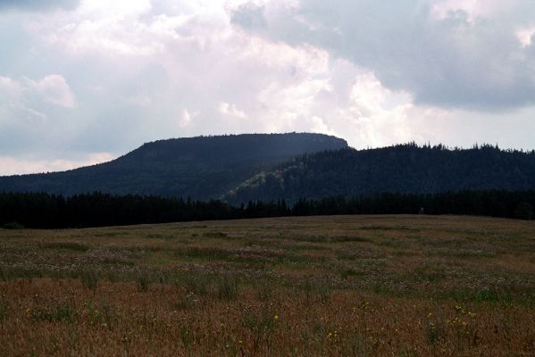 Božanov, 15.8.2004
Pohled od Studené Vody na Hejšovinu (Szczeliniec).
Klíčová slova: Božanov Hejšovina Szczeliniec Lacon lepidopterus