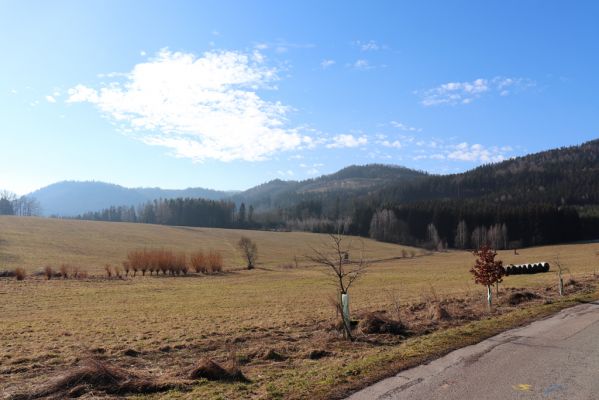 Božanov, 28.2.2021
Broumovské skály. Pohled od Horního Božanova na vrch Lopotu, Pauł a Bílou skálu.
Klíčová slova: Božanov Broumovské stěny vrch Lopota Pauł Bílá skála