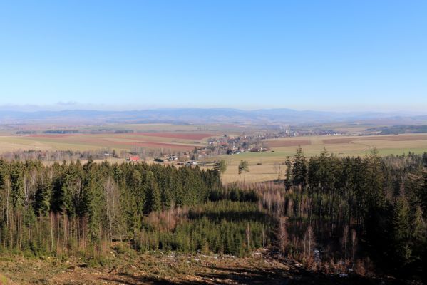 Božanov, 28.2.2021
Broumovské skály. Pohled od cesty k pískovcovému lomu na vrchu Lopota na Božanov.
Klíčová slova: Božanov Broumovské stěny vrch Lopota