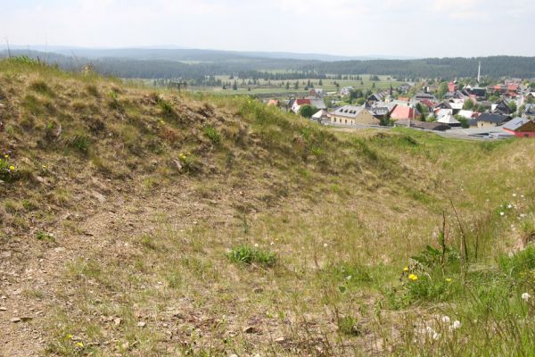 Krušné hory, Klínovec, 30.5.2012
Cyklokrosový areál pod Neklidem - bitop kovaříka Zorochros dermestoides.
Schlüsselwörter: Krušné hory Boží Dar Neklid Zorochros dermestoides