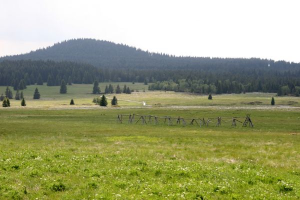 Boží Dar, 30.5.2012
Božídarské rašeliniště, pohled na Božídarský Špičák.
Klíčová slova: Krušné hory Boží Dar Božídarské rašeliniště Božídarský Špičák Actenicerus siaelandicus Ctenicera pectinicornis Aplotarsus incanus