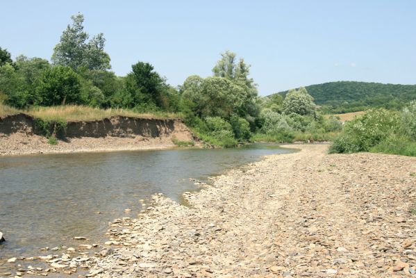 Brestov nad Laborcom, 5.7.2014
Meandry Laborce.



Klíčová slova: Brestov nad Laborcom řeka Laborec