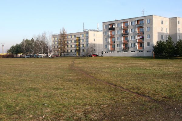 Březhrad, 17.1.2011
Písčité trávníky u sídliště. Biotop zlatohlávka Tropinota hirta.
Schlüsselwörter: Březhrad Tropinota hirta