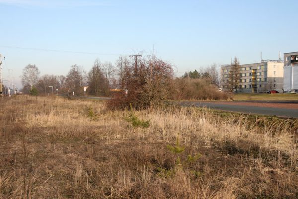 Březhrad, 17.1.2011
Písčiny a štěrkoviště u železniční trati. Pohled k sidlišti.
Klíčová slova: Březhrad Zorochros meridionalis Cardiophorus erichsoni