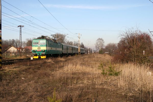 Březhrad, 17.1.2011
Písčiny a štěrkoviště u železniční trati.
Mots-clés: Březhrad Zorochros meridionalis Cardiophorus erichsoni
