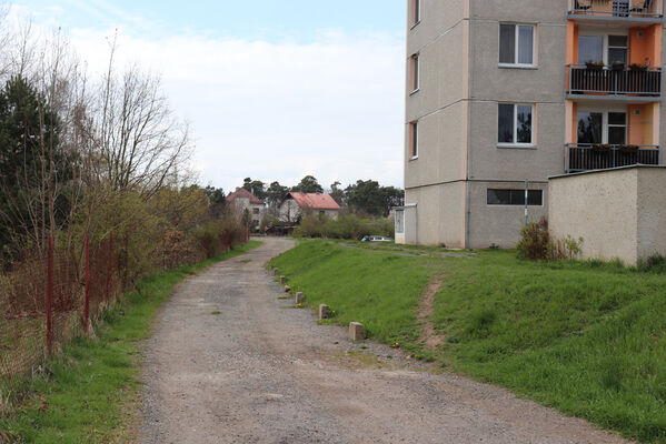 Hradec Králové, Březhrad, 21.4.2022
Biotop zlatohlávků huňatých.
Keywords: Hradec Králové Březhrad zlatohlávek huňatý Tropinota hirta