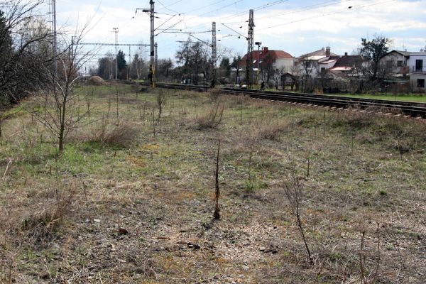 Březhrad, 3.4.2010
Rozsáhlá štěrková plocha u železniční trati vzniklá po odstranění kolejí. Biotop kovaříka Zorochros meridionalis. 
Schlüsselwörter: Březhrad Zorochros meridionalis