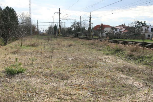 Březhrad, 3.4.2010
Rozsáhlá štěrková plocha u železniční trati vzniklá po odstranění kolejí. Biotop kovaříka Zorochros meridionalis. 
Schlüsselwörter: Březhrad Zorochros meridionalis