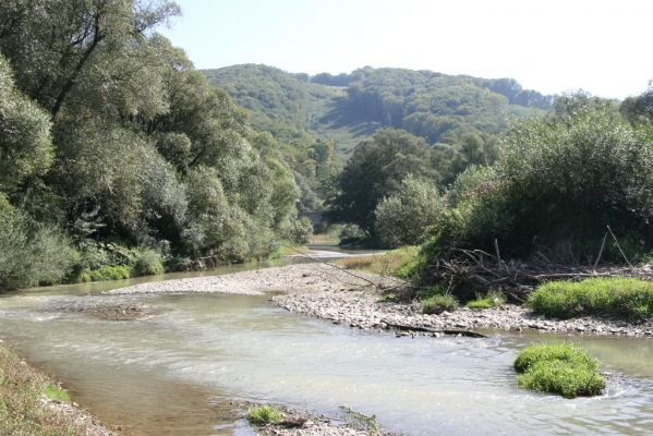 Breznica, 18.9.2014
Meandry Ondavy nad soutokem s Brusničkou.



Schlüsselwörter: Breznica řeka Ondava