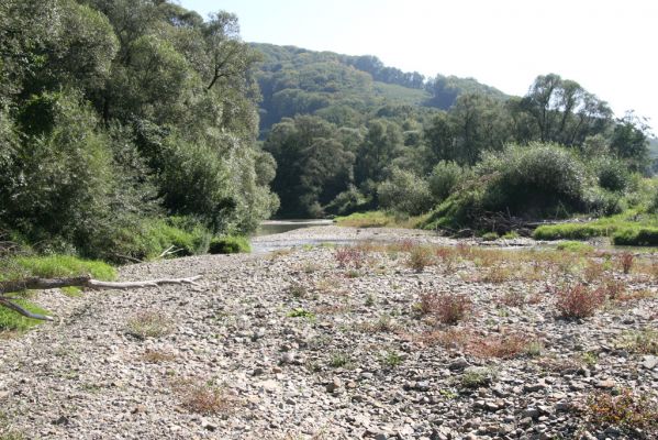 Breznica, 18.9.2014
Meandry Ondavy nad soutokem s Brusničkou.
Schlüsselwörter: Breznica řeka Ondava