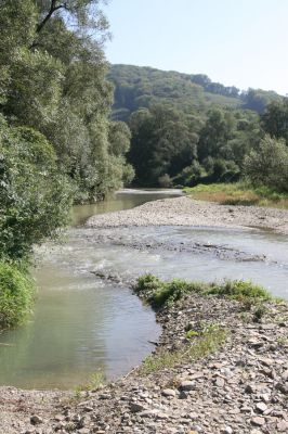 Breznica, 18.9.2014
Meandry Ondavy nad soutokem s Brusničkou.


Klíčová slova: Breznica řeka Ondava