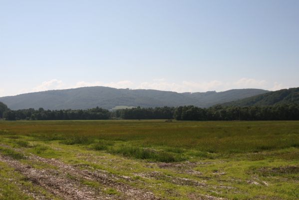 Breznica, 18.9.2014
Pohled od Breznice na jihozápad na lužní lesy u Ondavy.
Klíčová slova: Breznica řeka Ondava