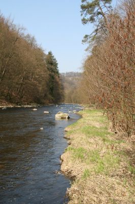 Březník, 3.4.2011
Dlouhá Oslava, Pod Vlčím Kopcem.
Klíčová slova: PR Údolí Oslavy Chvojnice Dlouhá Oslava Pod Vlčím Kopcem