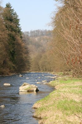 Březník, 3.4.2011
Dlouhá Oslava, Pod Vlčím Kopcem.
Schlüsselwörter: PR Údolí Oslavy Chvojnice Dlouhá Oslava Pod Vlčím Kopcem