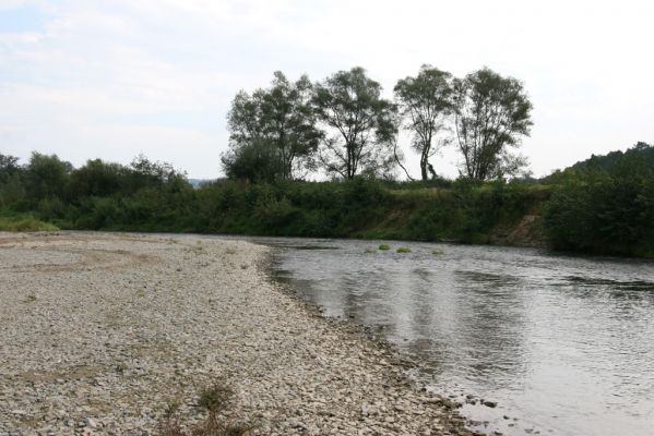 Brezov, 19.9.2014
Meandry Topľy.


Schlüsselwörter: Brezov řeka Topľa