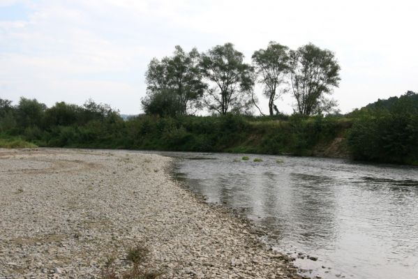 Brezov, 19.9.2014
Meandry Topľy.


Klíčová slova: Brezov řeka Topľa