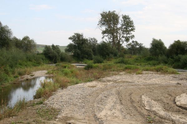 Brezov, 19.9.2014
Meandry Topľy - drobná těžba štěrkových náplavů.



Klíčová slova: Brezov řeka Topľa