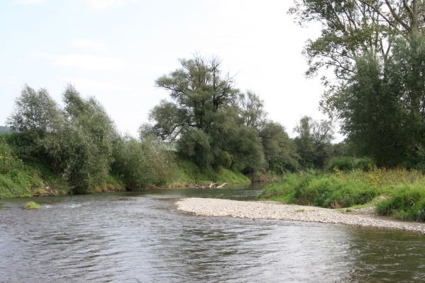 Brezov, 19.9.2014
Meandry Topľy.



Schlüsselwörter: Brezov řeka Topľa