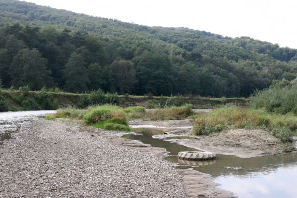 Brezov, 19.9.2014
Meandry Topľy.



Klíčová slova: Brezov řeka Topľa