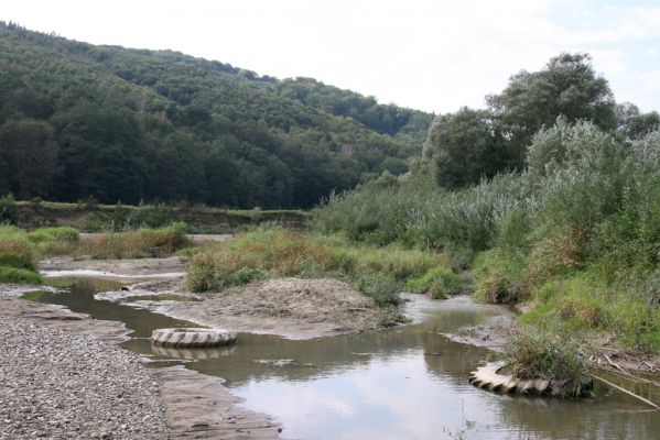 Brezov, 19.9.2014
Meandry Topľy.


Keywords: Brezov řeka Topľa