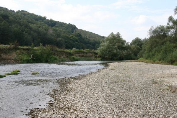 Brezov, 19.9.2014
Meandry Topľy.



Keywords: Brezov řeka Topľa