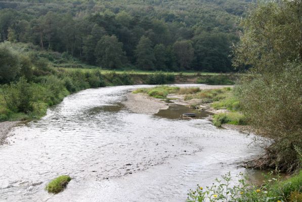 Brezov, 19.9.2014
Meandry Topľy.



Mots-clés: Brezov řeka Topľa