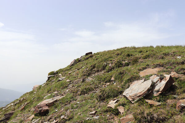 Bressanone-Afers, 21.6.2023
Mt. Plose - biotop kovaříků Anostirus reissi.
Schlüsselwörter: Trentino-Alto Adige Bressanone-Afers Mt. Plose Anostirus reissi