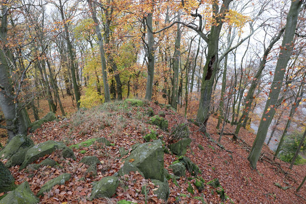 Ústí nad Labem, Brná, 28.10.2022
Bučina na severním svahu vrchu Modřín.
Klíčová slova: České středohoří Ústí nad Labem Brná Průčelská rokle vrch Modřín