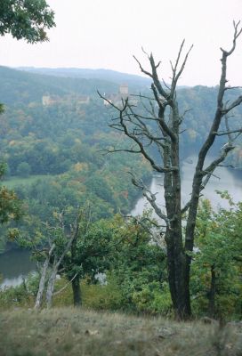 Brno, 17.10.2005
Rezervace Kůlny, v pozadí hrad Veveří.
Schlüsselwörter: Brno Veveří rezervace Kůlny Cardiophorus erichsoni